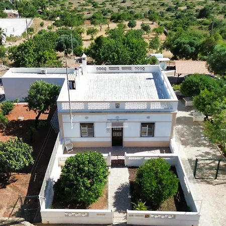 Tree House, With Ac, Wifi, Terrace, Privacy, Great View * Nave das Mealhas
